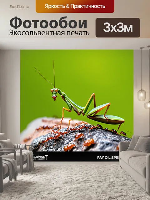 Фотообои богомол, стоящий на камне, окружённый муравьями, которые представляют собой её потенциальную добычу