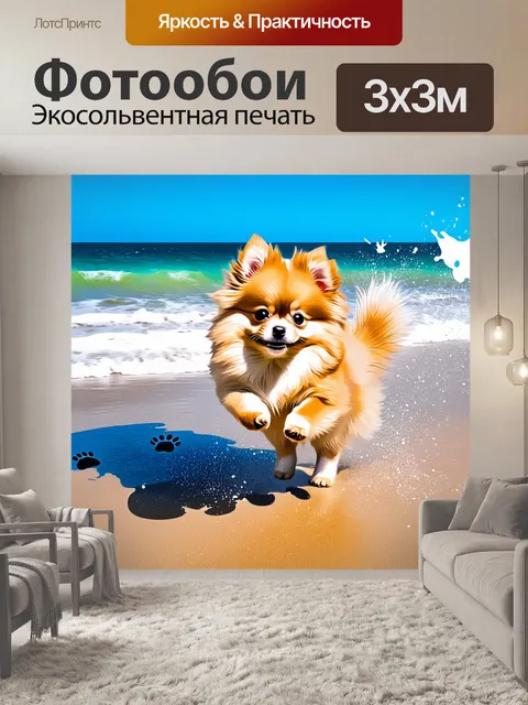 Фотообои щенок померанского шпица, играющий на пляже, прыгающий через волны и оставляя следы на песке