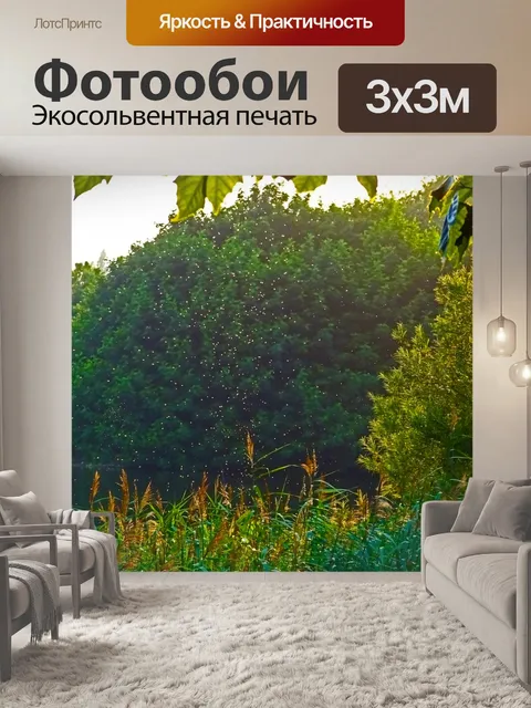 Фотообои Комары