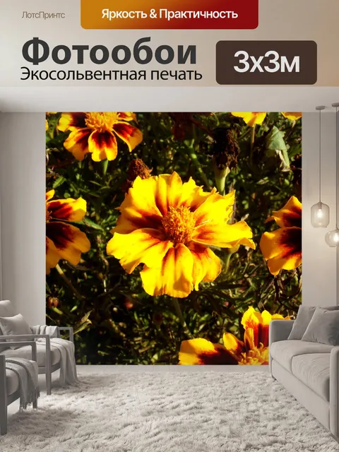 Фотообои Осень