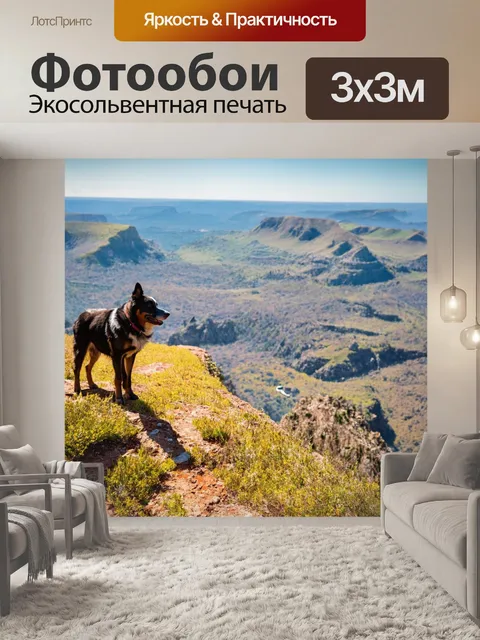 Фотообои овчарка, путешествующая по красивым местам, стоящая на краю утеса и смотрящая на horizonte