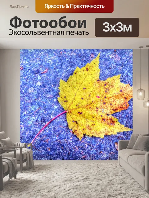 Фотообои Желтый кленовый лист