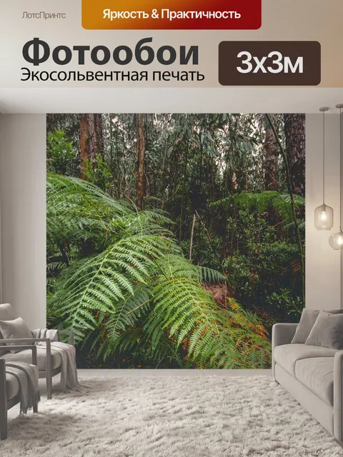 Фотообои Лес