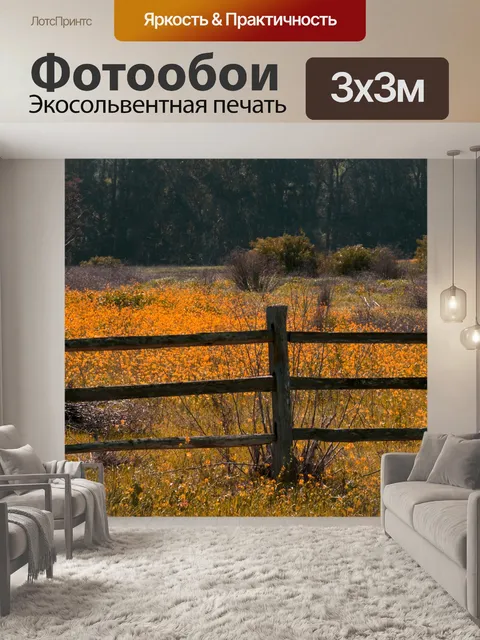 Фотообои Поле оранжевых цветов