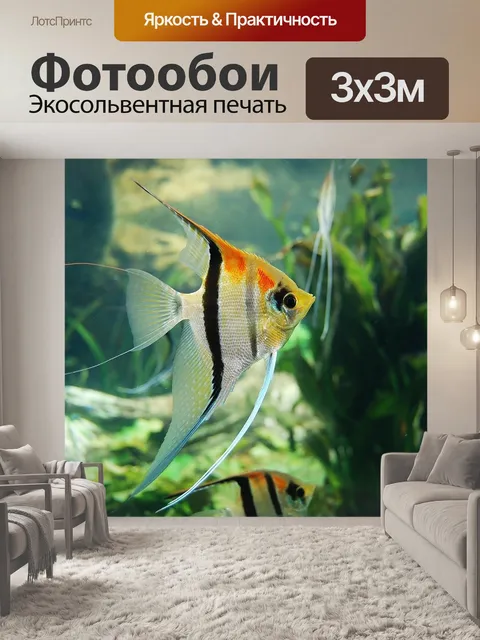 Фотообои Подводный