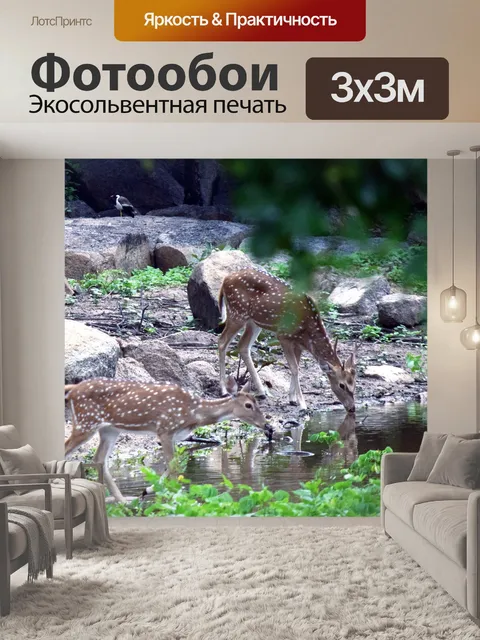 Фотообои Пятнистый олень 1