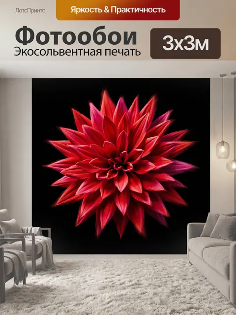 Фотообои Яркий красный цветок на черном фоне