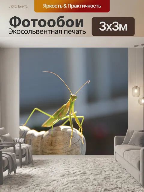 Фотообои Богомол