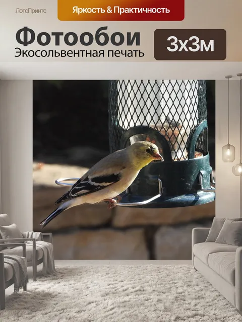 Фотообои Щегол