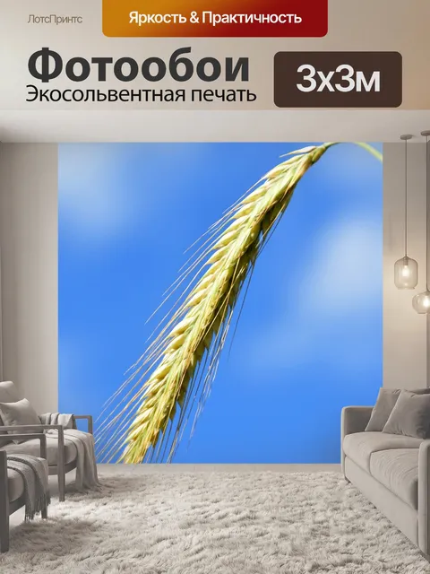 Фотообои Ухо