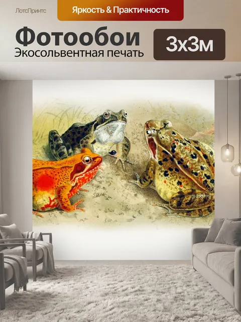 Фотообои Лягушки литография винтажное искусство