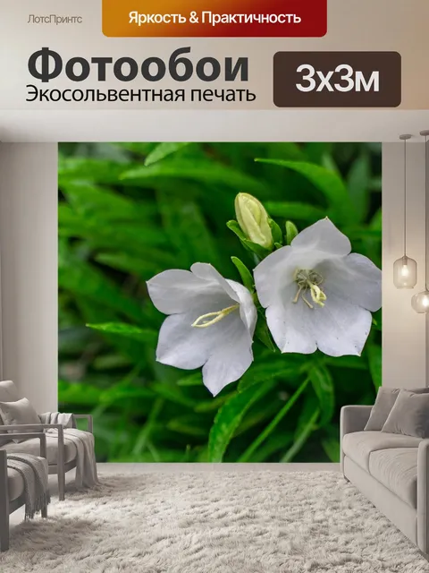 Фотообои Зеленый