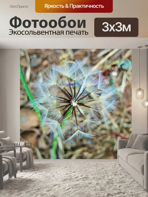 Фотообои Белый одуванчик