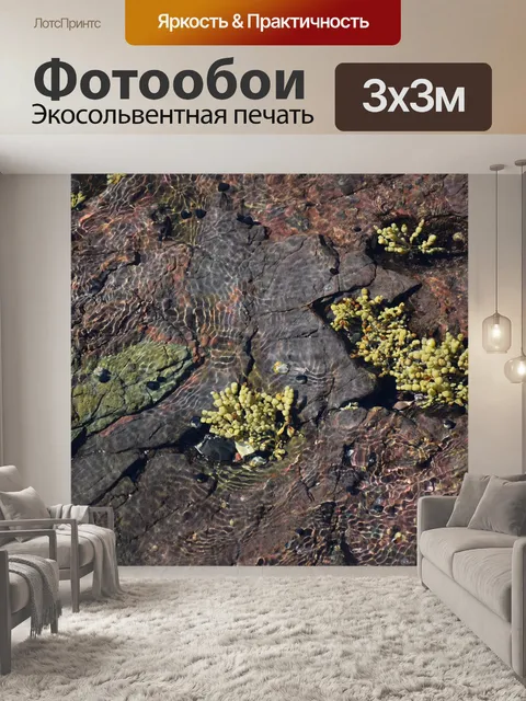 Фотообои Водоросли
