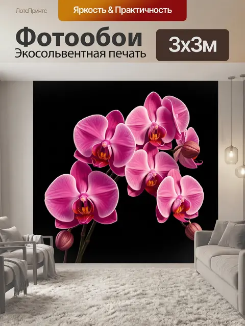 Фотообои Розовые орхидеи на черном фоне