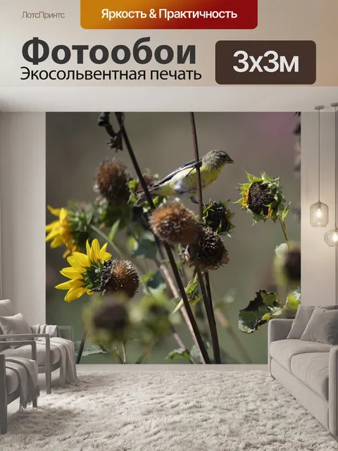 Фотообои Щегол среди подсолнухов