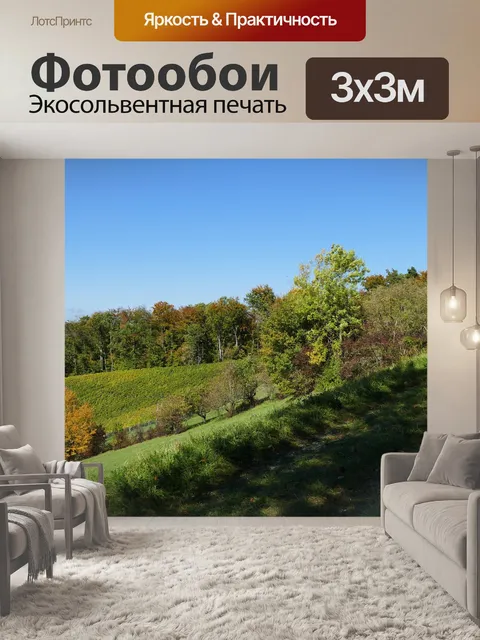 Фотообои Падение
