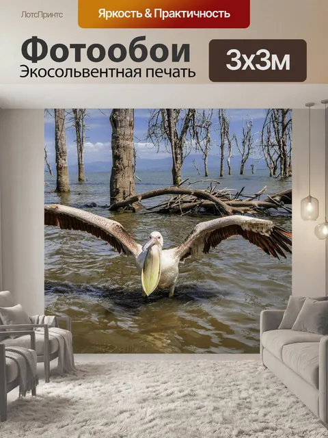 Фотообои Пеликан