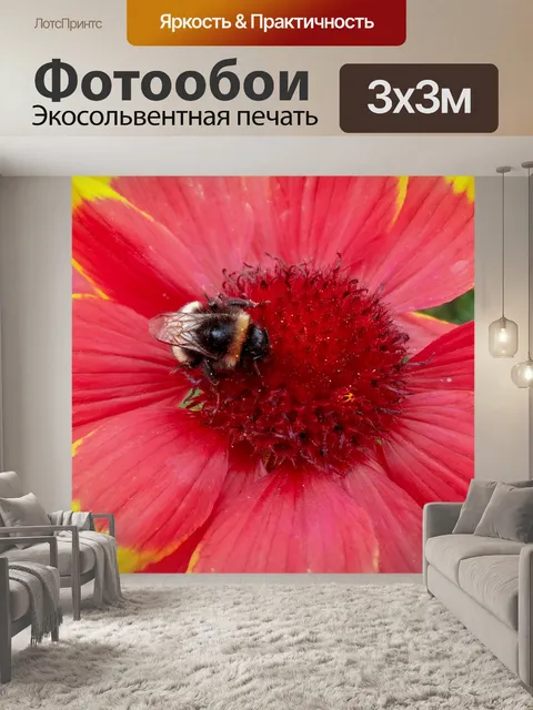 Фотообои Шмель на цветке