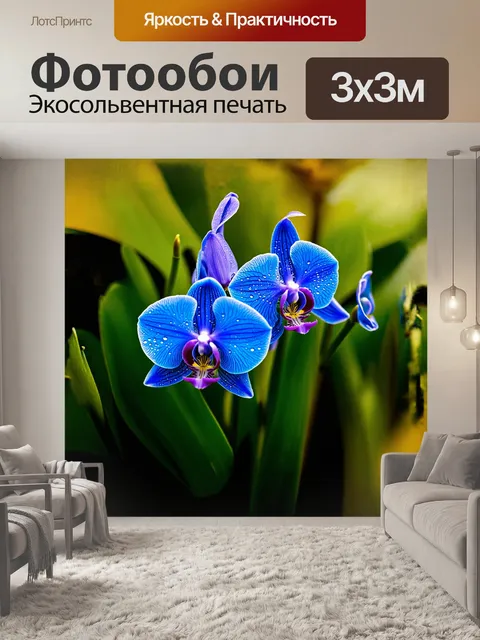 Фотообои синие цветы орхидеи распускаются в тропическом саду, погруженном в мягкий свет утра