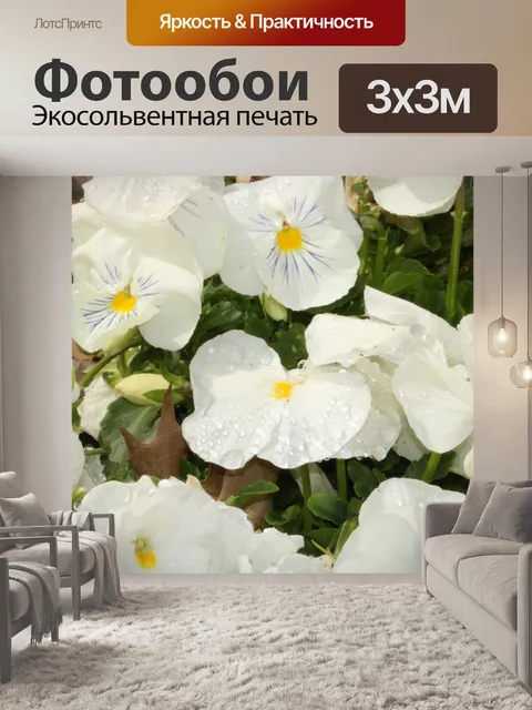Фотообои Белые анютины глазки и капли дождя