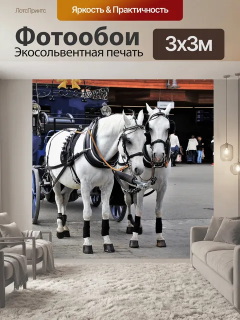 Фотообои Лошади