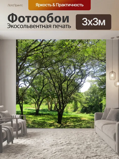Фотообои деревья и густой кустарник
