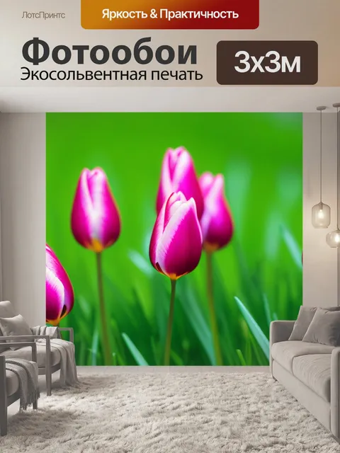 Фотообои тюльпаны на зелёном лужайке