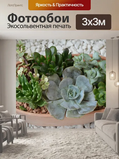 Фотообои Состав зеленые растения