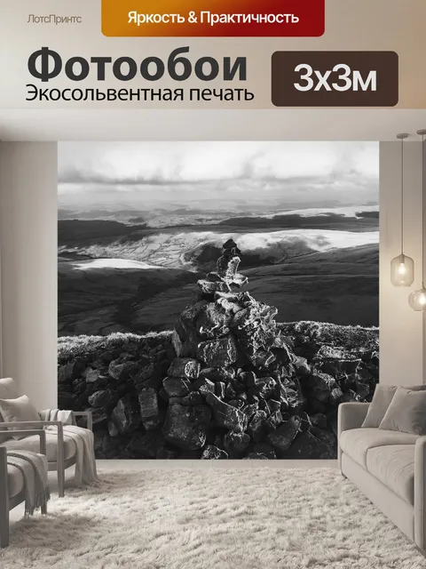 Фотообои Черное и белое