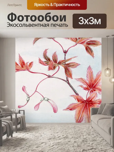 Фотообои Японский клен листья деревьев