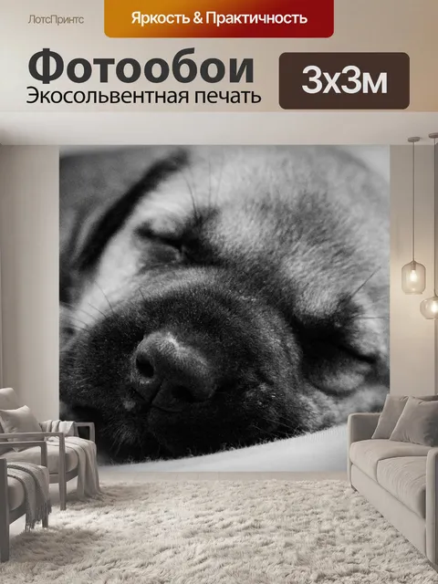 Фотообои Щенок