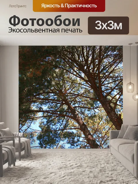 Фотообои вверх в соснами