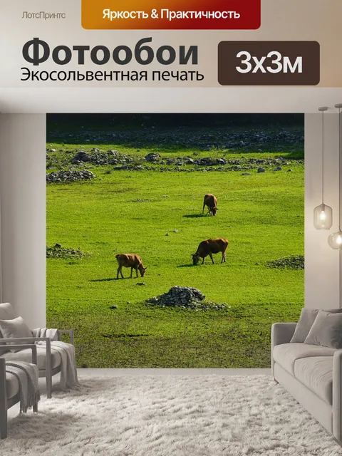 Фотообои Корова