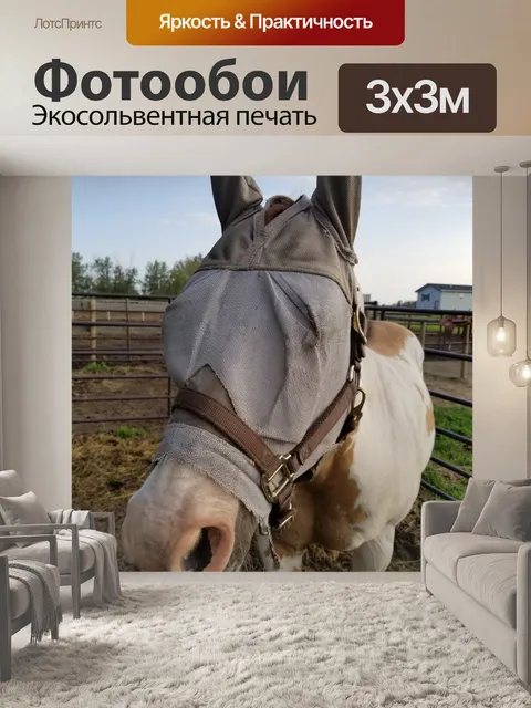 Фотообои Лошадь с завязанными глазами