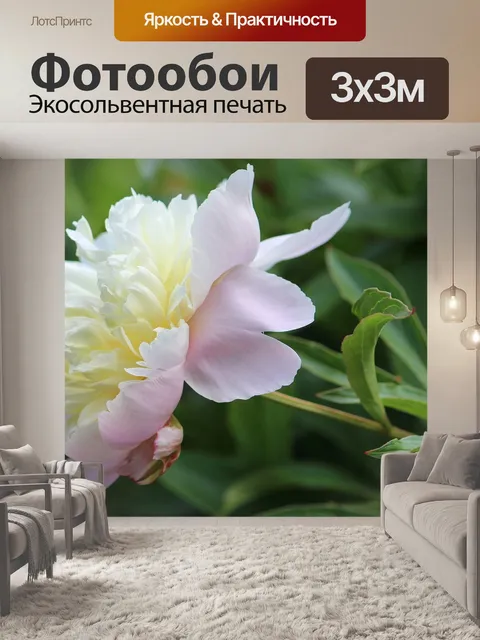 Фотообои Пион
