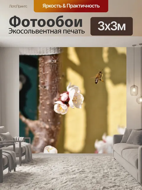 Фотообои Пчела