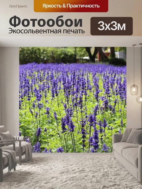 Фотообои Фиолетовый
