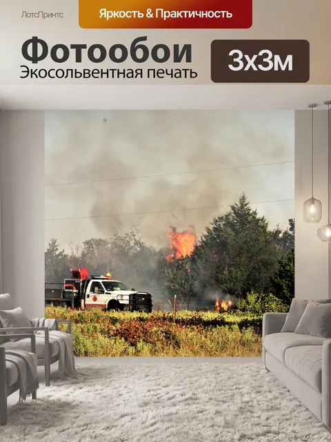 Фотообои Пожарные борются с травой