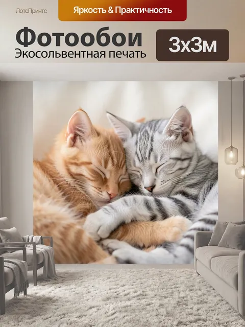 Фотообои Спящие котята в обнимку