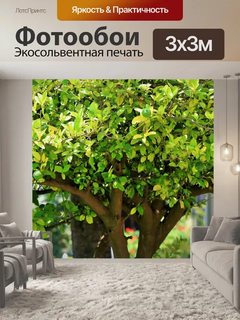 Фотообои яркий лимонное дерево