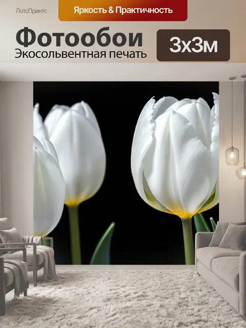 Фотообои грациозные белые тюльпаны на черном фоне