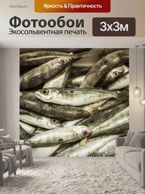 Фотообои Рыбы
