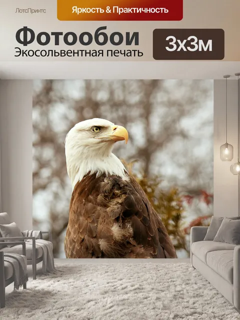 Фотообои Белоголовый орлан оглядываясь в прошлое