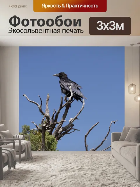 Фотообои Небо