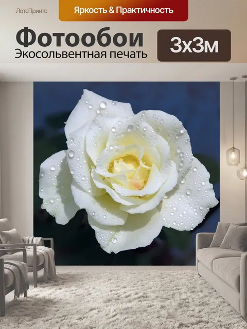 Фотообои Просто розы