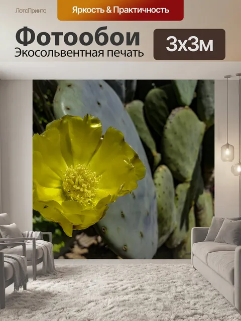 Фотообои Растения кактусов опунция