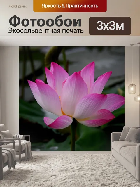 Фотообои Цветок лотоса