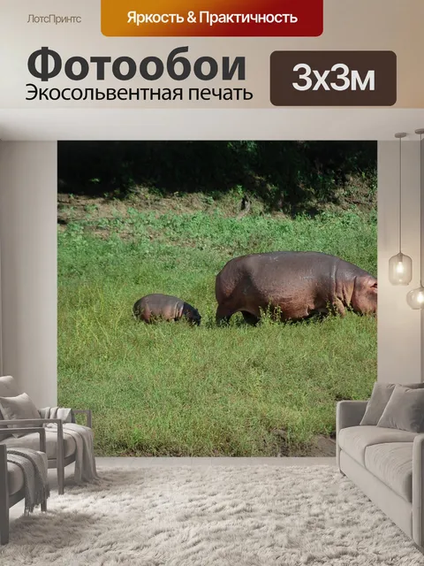 Фотообои Природа