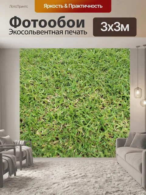Фотообои Трава